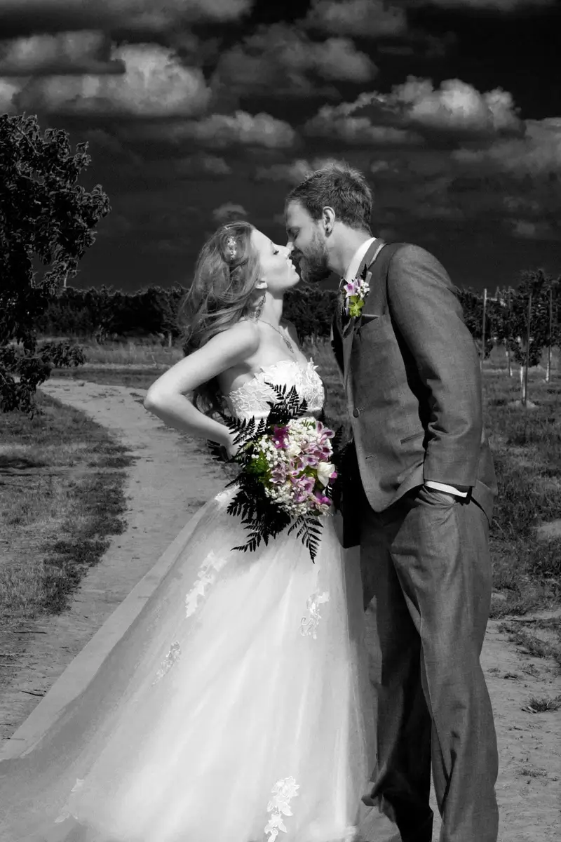 Country Lane Weddings